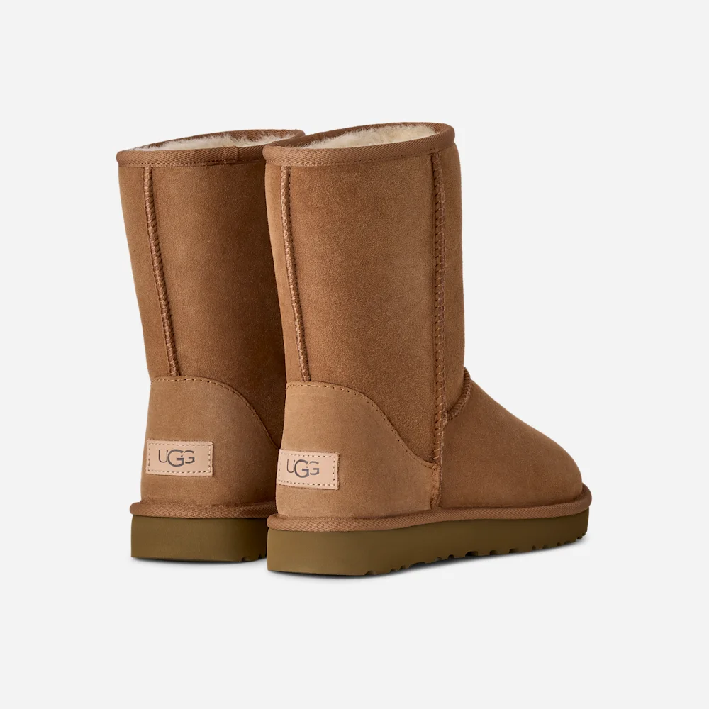 Botte Classic Short II Chestnut vue 4