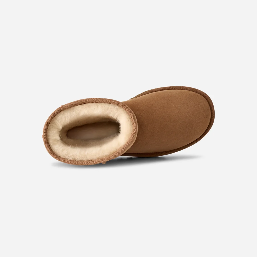 Botte Classic Short II Chestnut vue 6