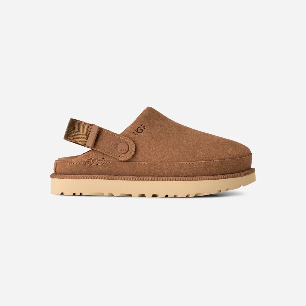 Sabot Goldenstar Chestnut