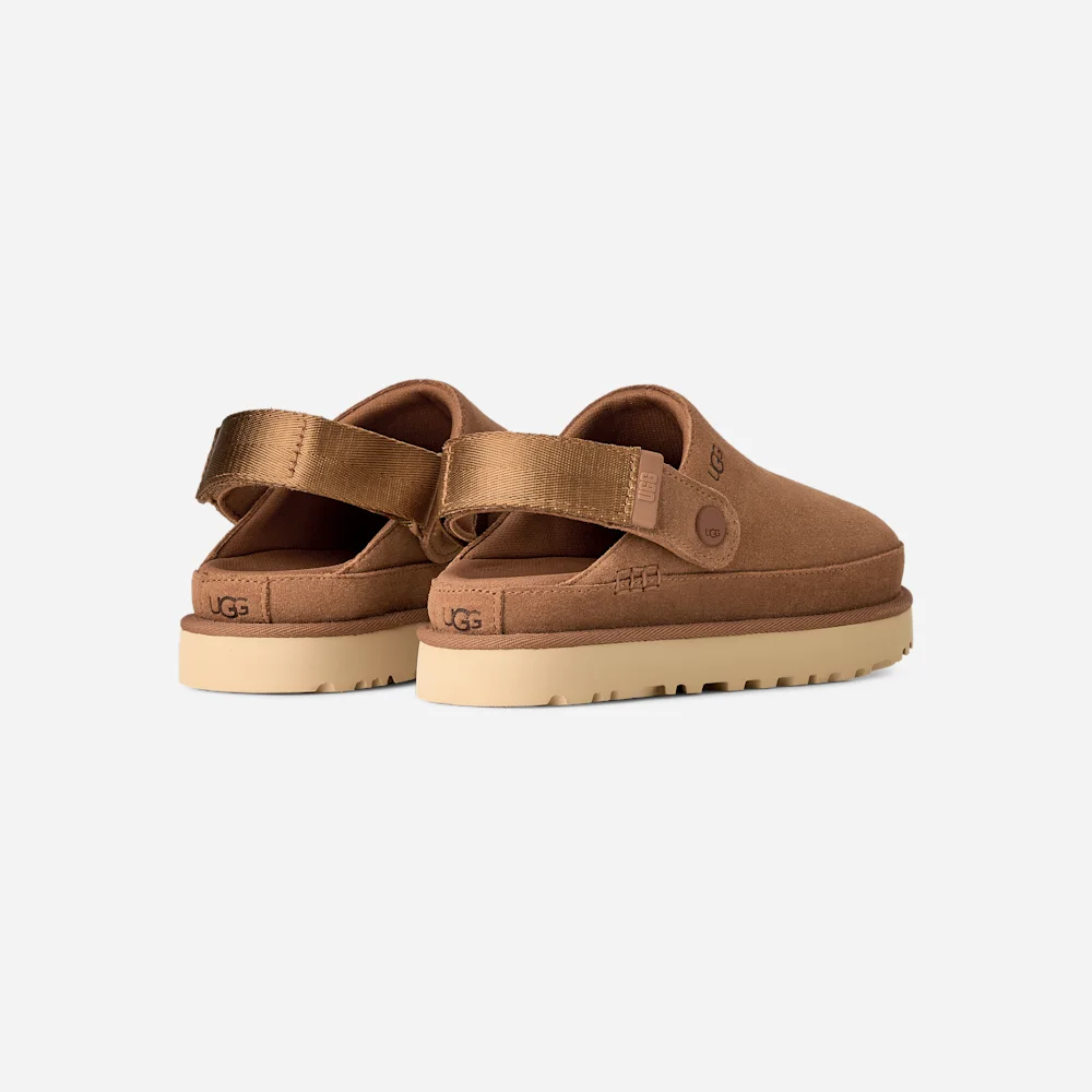 Sabot Goldenstar Chestnut vue 4