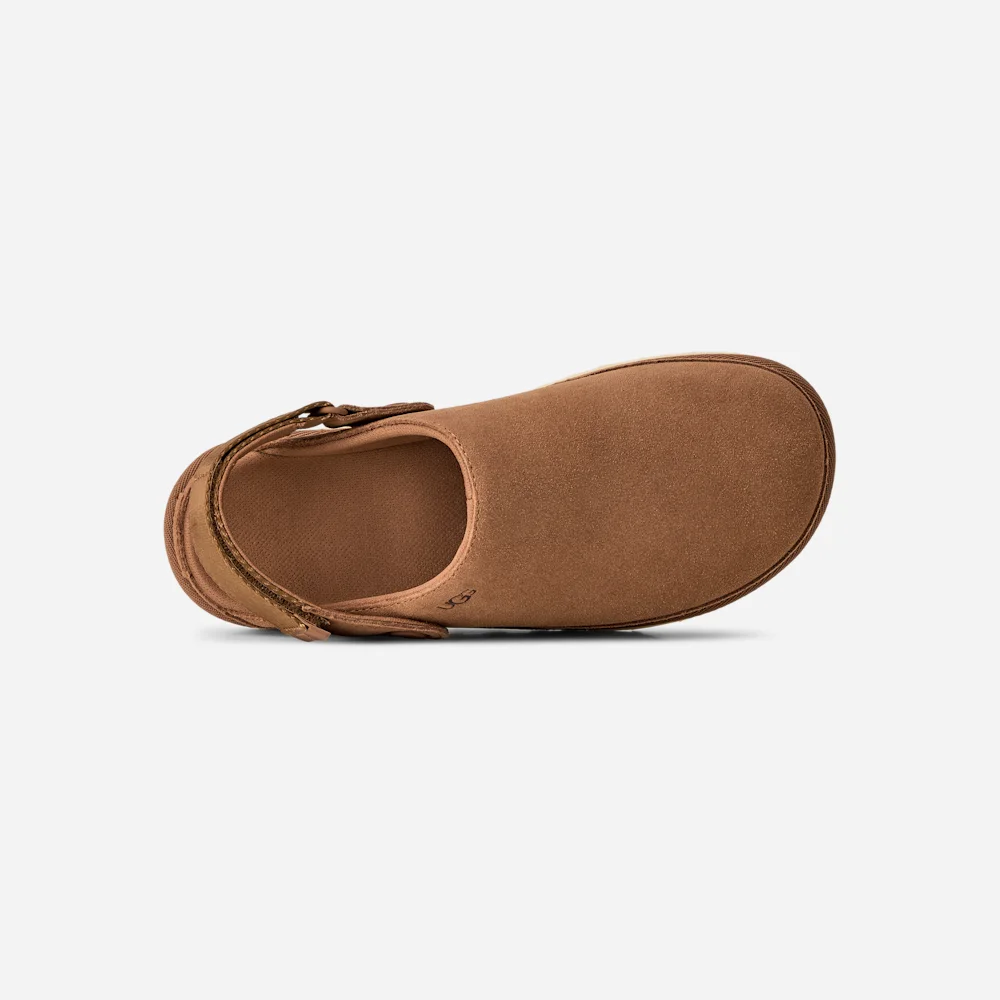 Sabot Goldenstar Chestnut vue 6