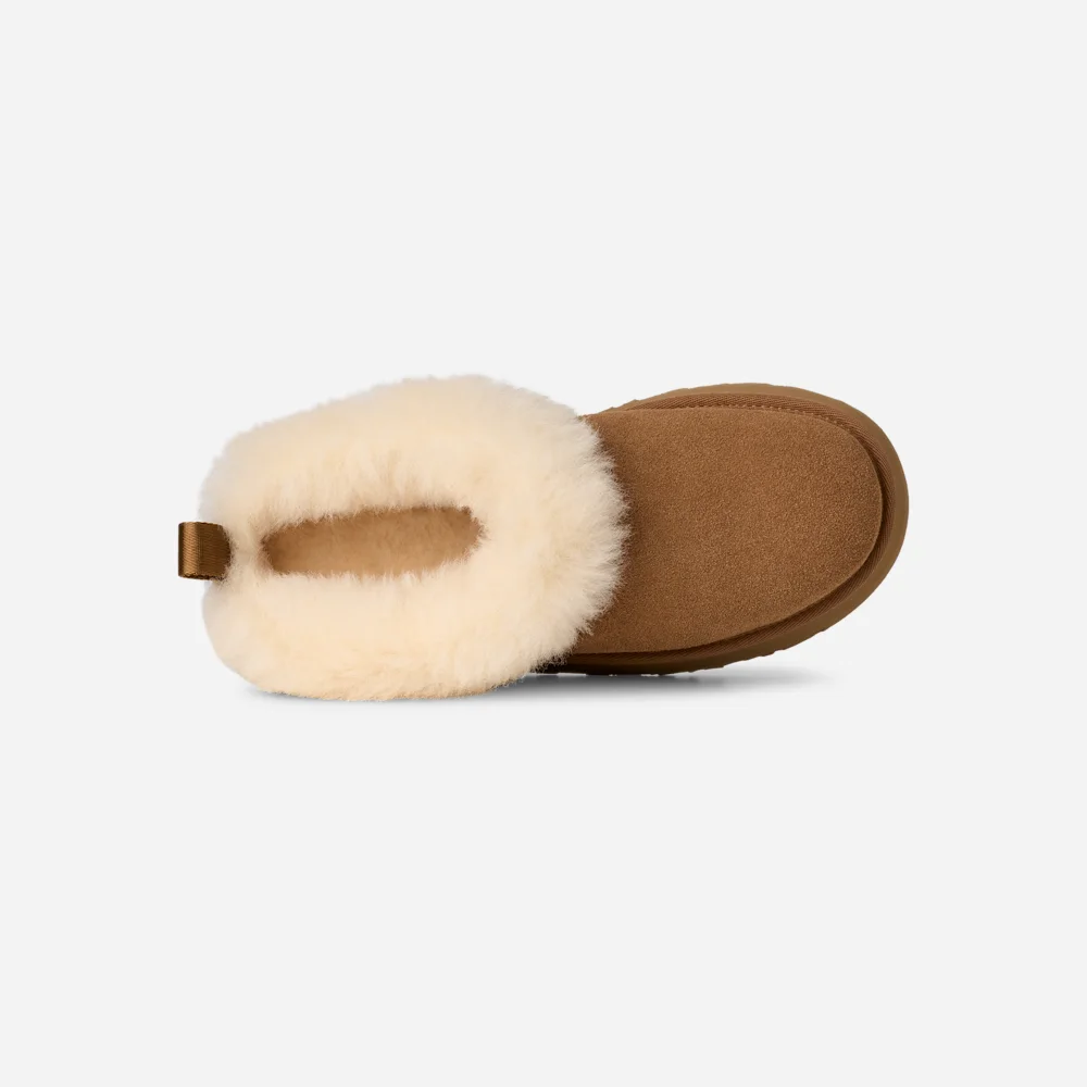 Tazzelle Chestnut vue 6