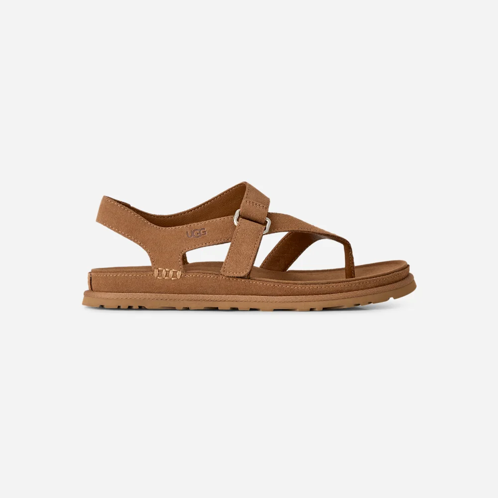 Sandale GoldenGaze Toe Post Chestnut