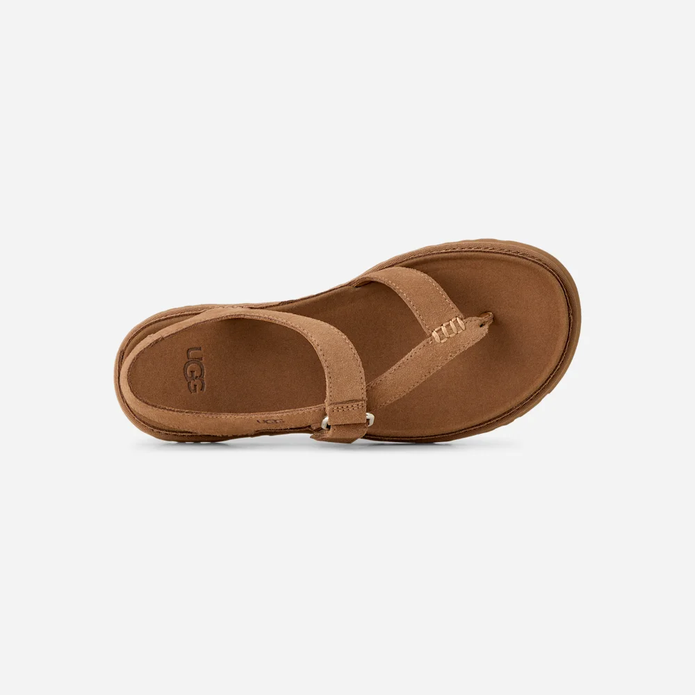 Sandale GoldenGaze Toe Post Chestnut vue 6