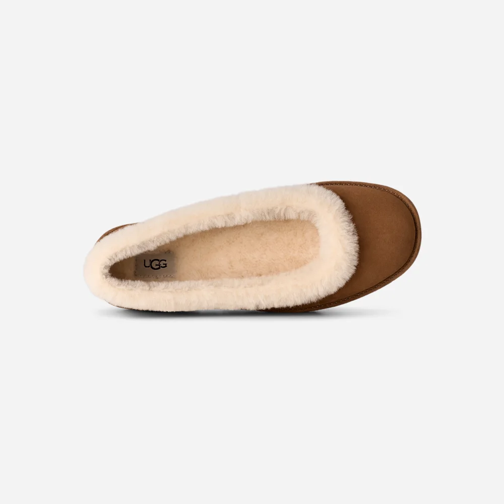 Zora Ballerine Chestnut vue 6