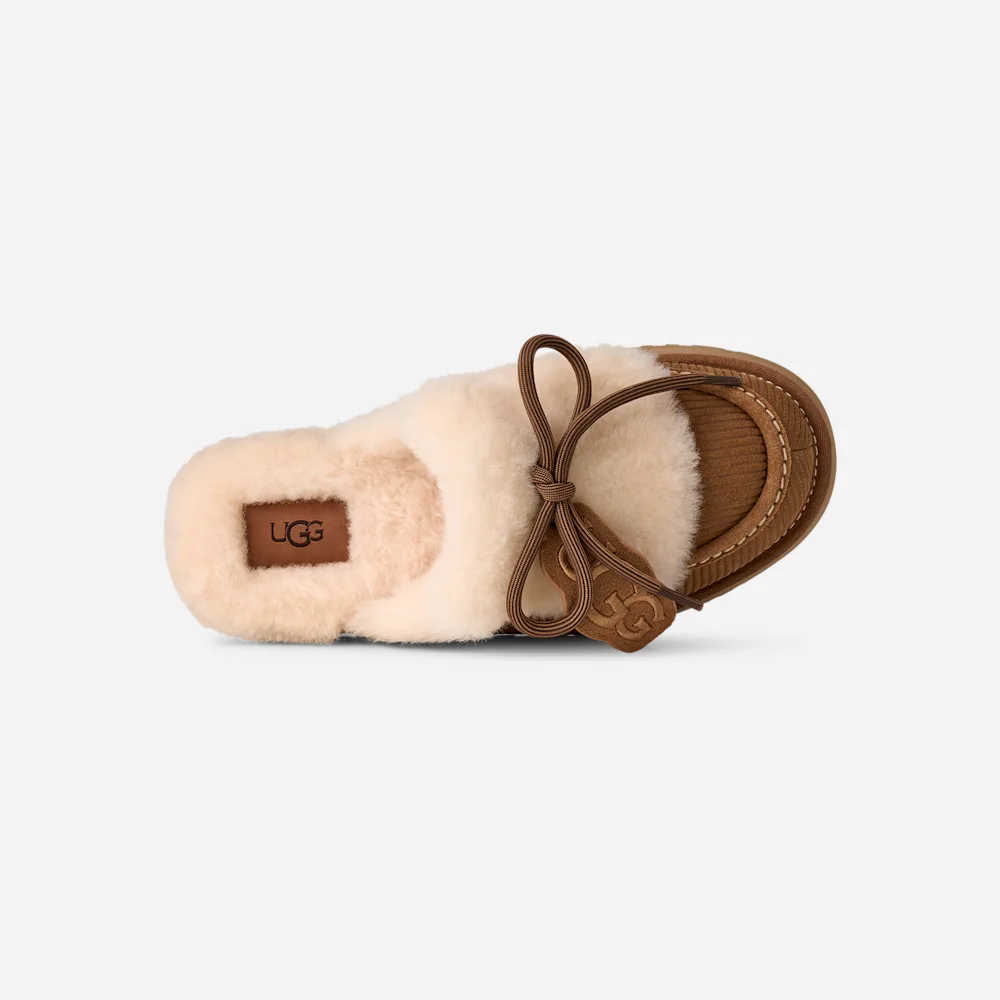 Disquette Heritage Chestnut vue 6