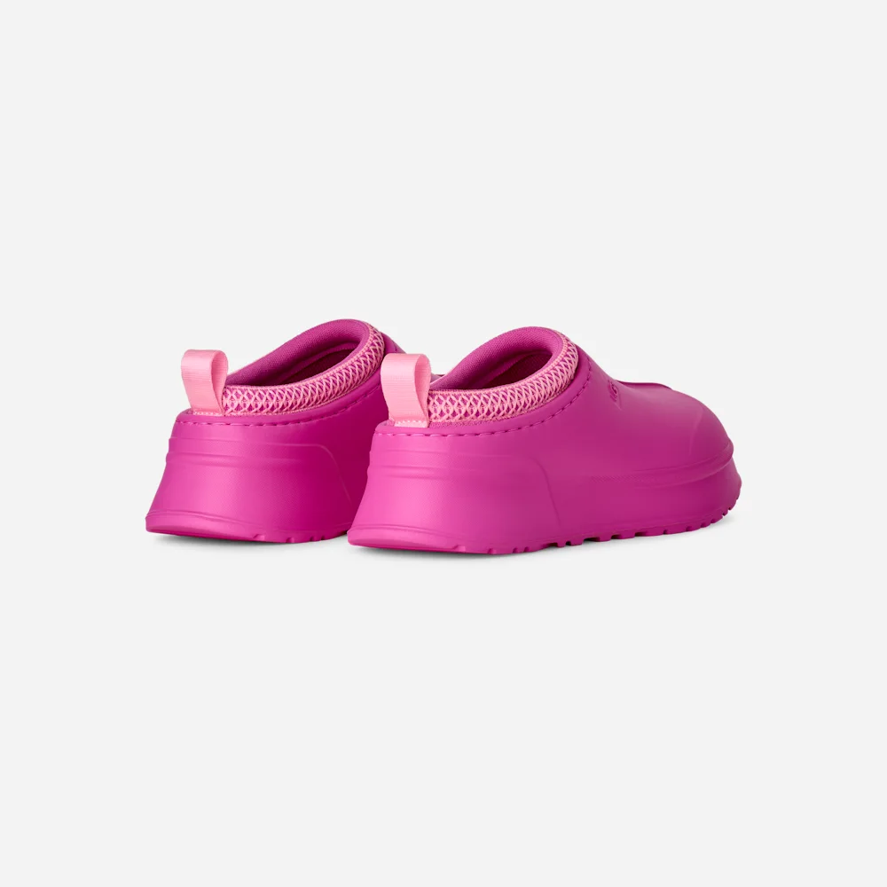Tazz Molded Bhtf vue 4