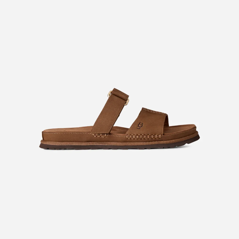 Mule GoldenGaze Dkc