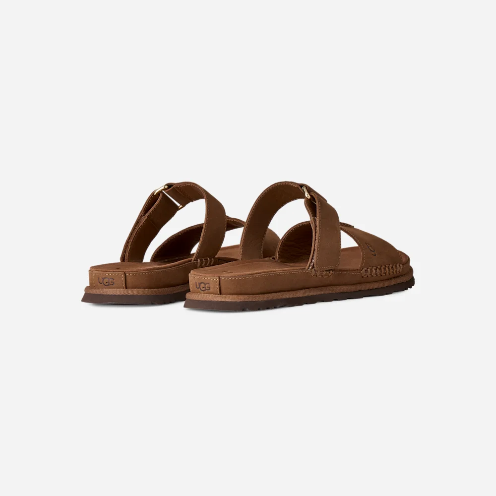 Mule GoldenGaze Dkc vue 4