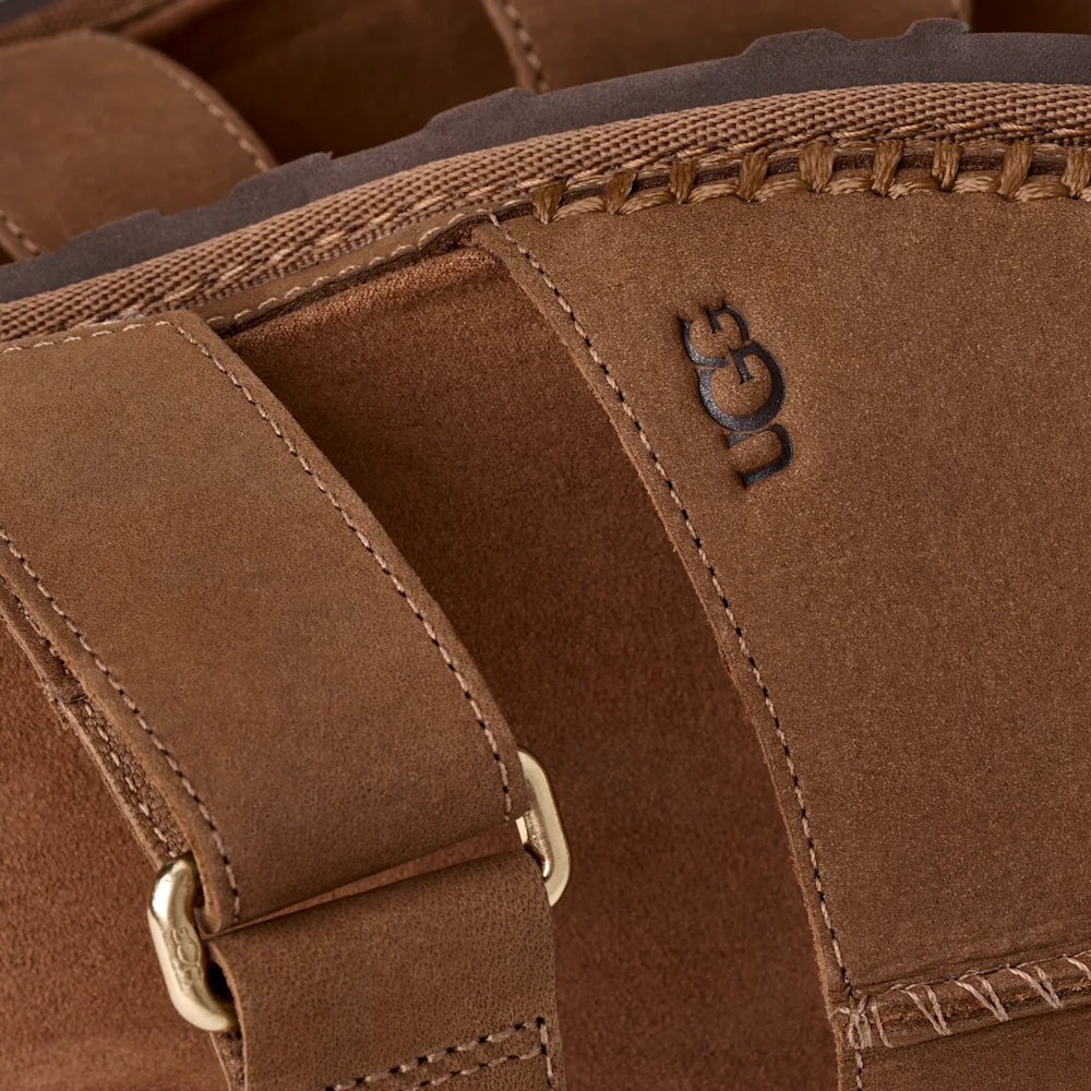 Mule GoldenGaze Dkc vue 5
